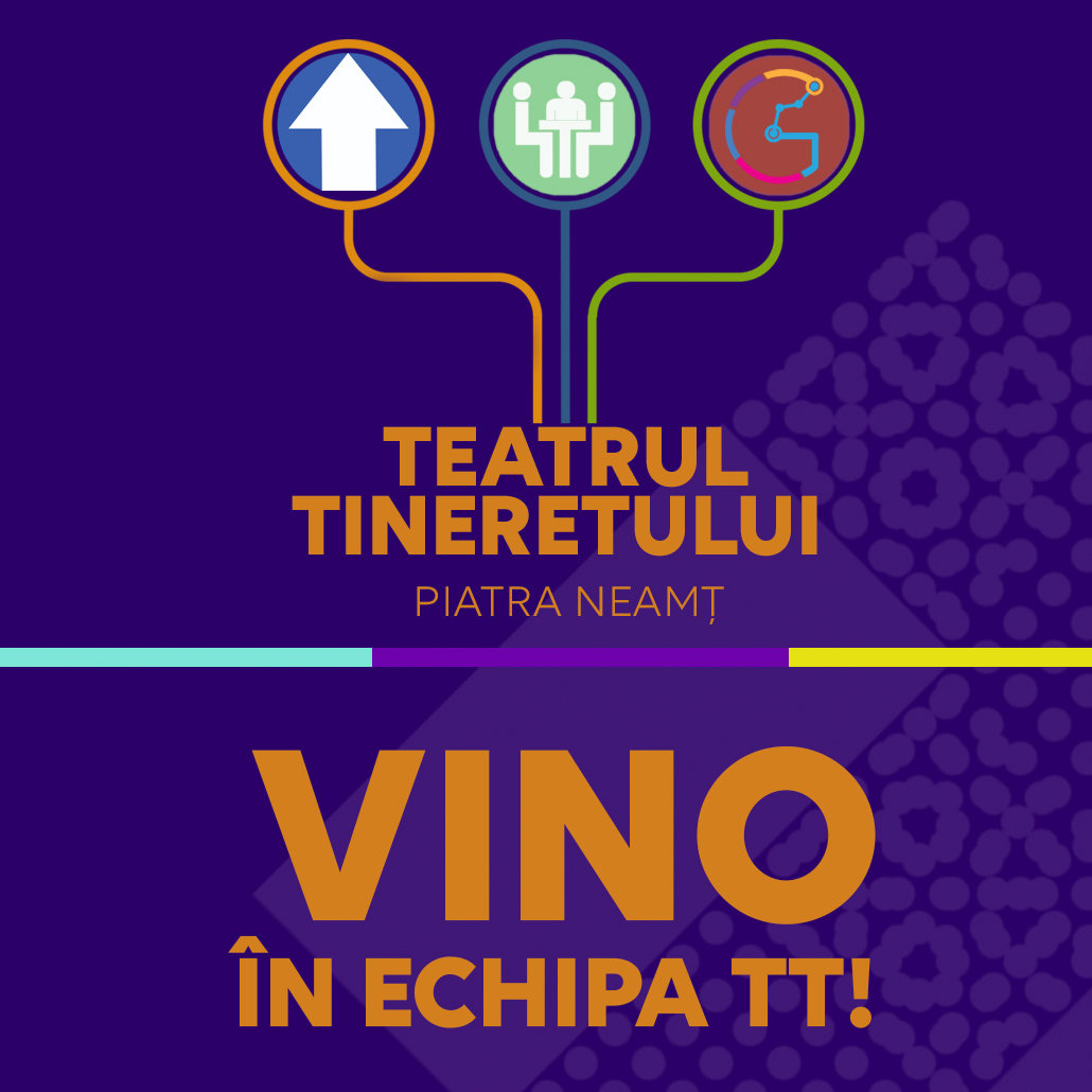 Teatrul Tineretului organizează interviuri pentru ocuparea postului de consultant artistic – management de proiect